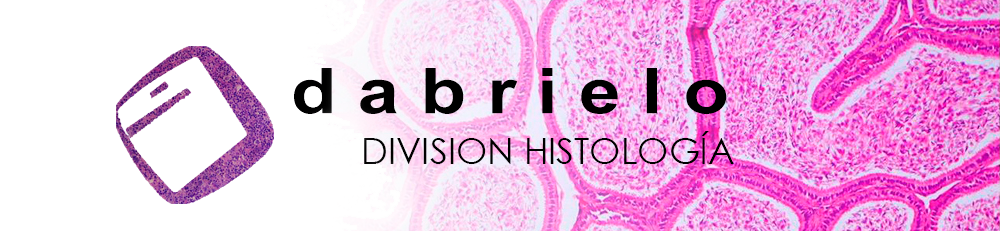 dabrielo-histologia